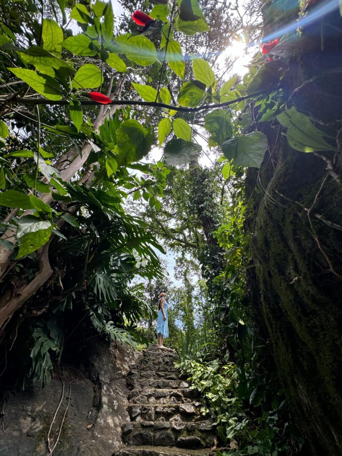 Pousada Olho D'Água Visconde de Mauá Exterior foto